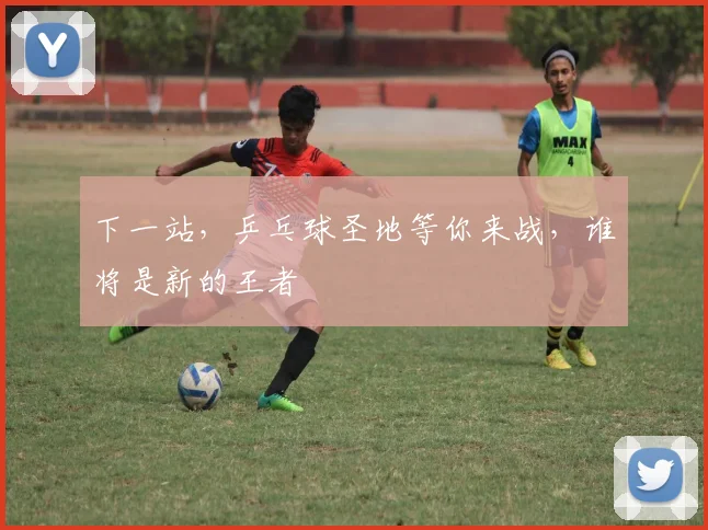 下一站,乒乓球圣地等你来战,谁将是新的王者